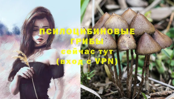 дмт Абинск